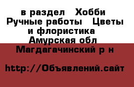  в раздел : Хобби. Ручные работы » Цветы и флористика . Амурская обл.,Магдагачинский р-н